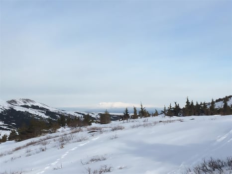photo, landscape, nature, winter, snow, landscape photo
