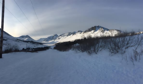 photo, landscape, nature, winter, snow landscape photo
