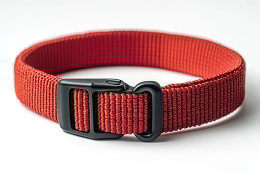 A red nylon belt with black buckle photo