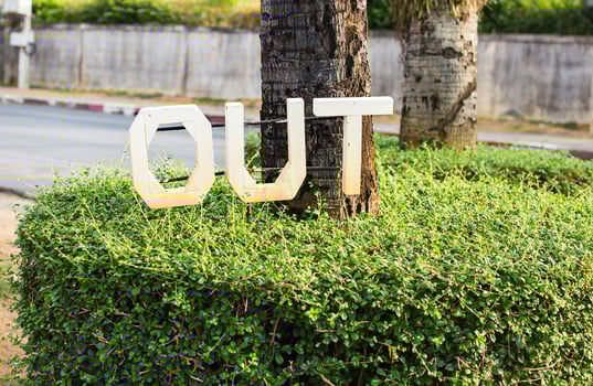 exit or out sign mounted on a green bush photo
