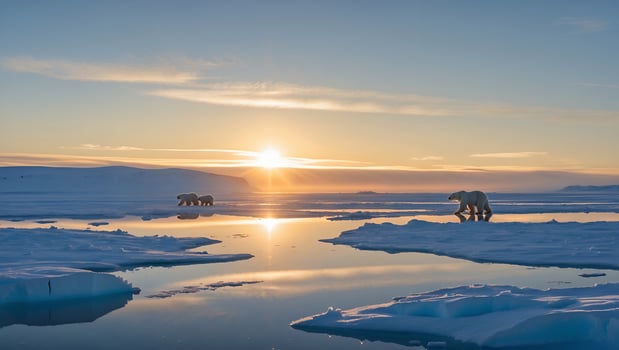 Polar Bears Walking on Ice Floes During Arctic Sunset Reflection photo