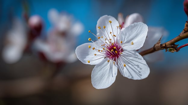 Macro flower in full focus photo with scenic backdrop