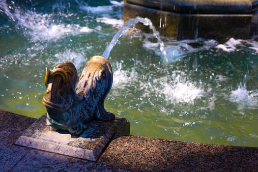 Delightful fountain detail featuring a fish spout in a tranquil park setting photo