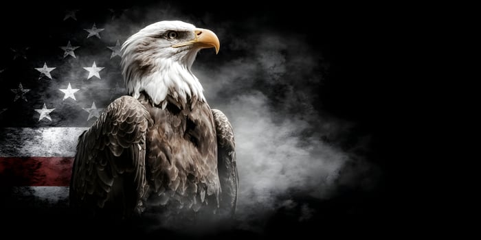 American Bald Eagle with USA Flag Background Smoke photo