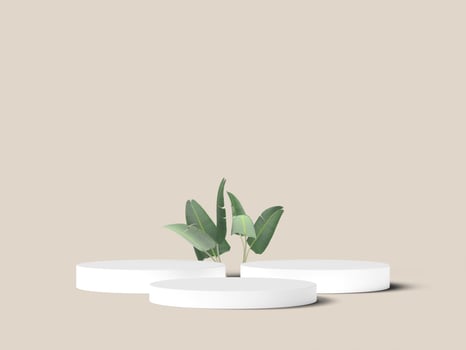 Three white podiums arranged with leafy decoration photo