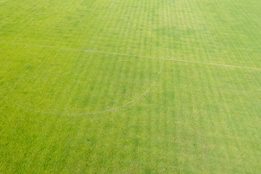 overhead perspective of an authentic grass soccer field photo