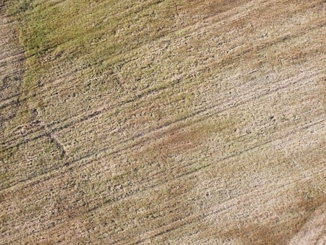 Dry, textured landscape showing earth patterns and vegetation during late afternoon in a rural area photo