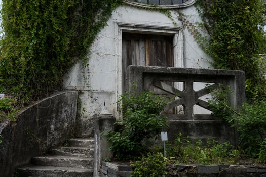 The old house in the garden is overgrown with vines. Botanical Garden in Georgia photo