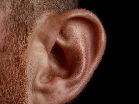 Detailed view of a mans ear against black backdrop photo