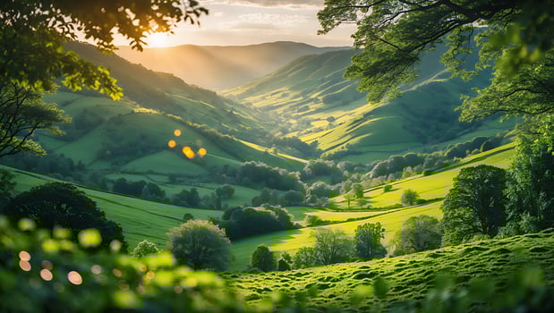 Rolling Green Hills Valley at Sunrise Serene Pastoral Landscape photo