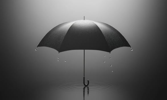 A black umbrella is sitting in a puddle of water photo