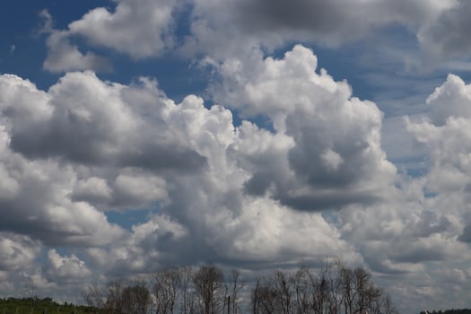 A large field with trees and a sky full of clouds photo