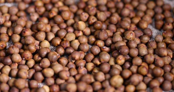 Roasted chickpeas are scattered on the table before cooking photo