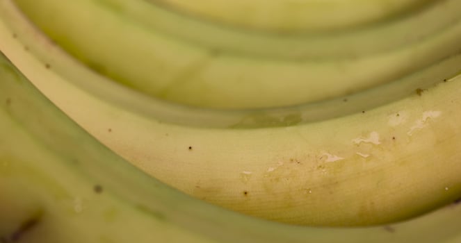 a ripe banana with a yellow-green peel is on the table photo