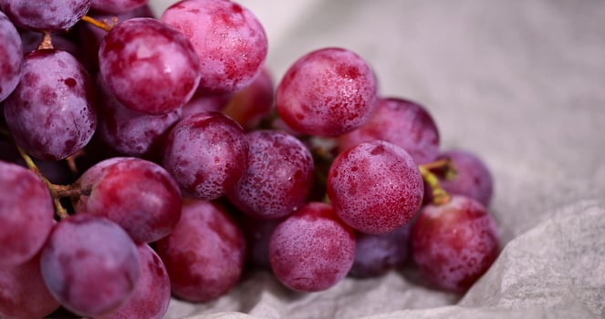 ripe grapes on the table after washing the berries, clean wet grapes safe for eating closeup photo