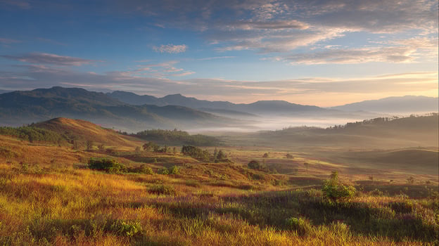 Real-life natural view captured in photo clarity