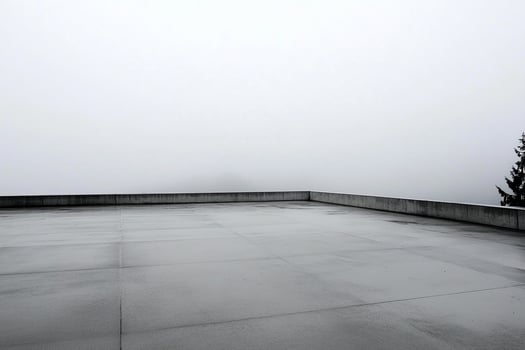 A black and white photo of a roof with a tree in the background