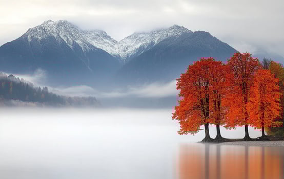 Three trees stand in front of a lake with mountains in the background photo