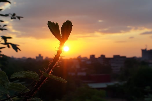 A sunset with a tree in the foreground photo