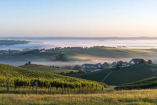 A view of a foggy valley with vineyards and houses photo