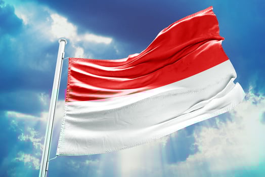 The flag of indonesia is waving in the wind photo