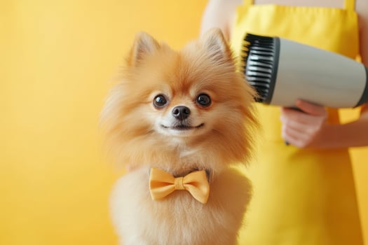 A woman holding a dog with a bow tie and a blow dryer photo