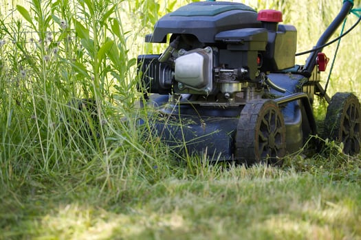 Lawn Mower Cutting Tall Grass in a Sunny Outdoor Garden Setting photo