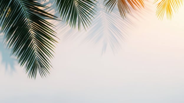 Palm leaves casting shadows on white wall background with warm sunlight creating tropical and minimalistic summer mood. photo