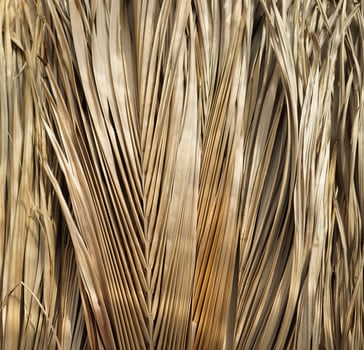 Handcrafted real taken photo natural palm leaf botany brown earthy tones texture abstract background