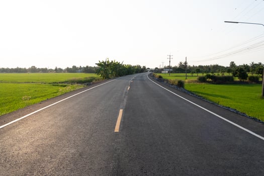 Winding road journey rural landscape photography green fields eye-level tranquil exploration photo