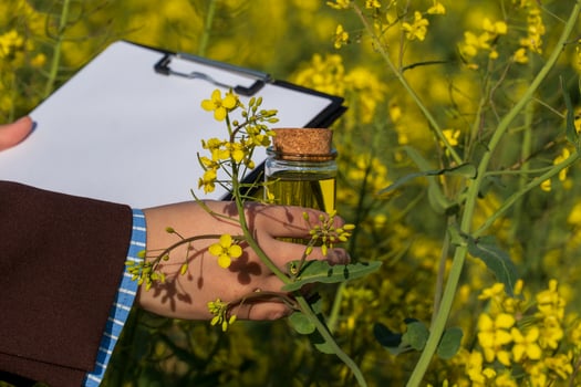 Analyzing canola oil production in field, checking quality with filled jar and blank clipboard for notes on rapeseed flowers photo