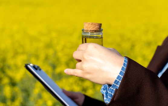 Holding a glass container of rapeseed oil while taking notes in a flourishing canola field, surrounded by bright yellow flowers under clear blue skies photo