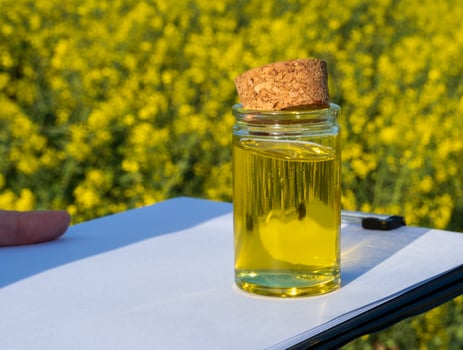 A hand holds a clear bottle of golden rapeseed oil with a cork stopper, set atop a notepad, surrounded by a beautiful yellow rapeseed field under clear blue skies photo