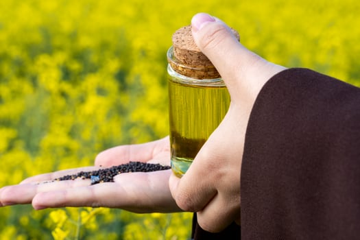 A person holds a small glass bottle of rapeseed oil in one hand while pouring black rapeseed seeds into the other, set against a bright yellow rapeseed field photo