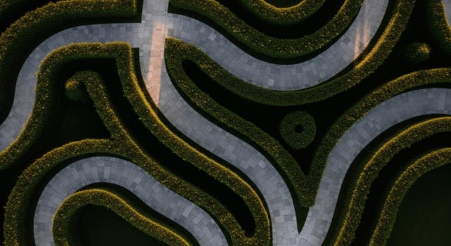 An aerial view of a winding road in a park photo