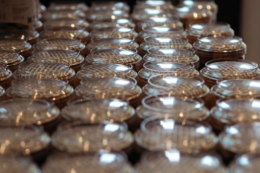 lined up dry cake packaging photo