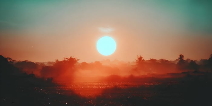 Sunrise over Tropical Landscape Orange and Teal Sky Misty Field Palm Trees photo