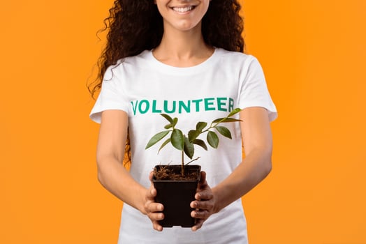 Unrecognizable Volunteer Woman Holding Green Plant In A Pot Standing Over Yellow Studio Background. Protection Of Nature And Environment, Ecology, Save Our Planet Concept. Cropped photo