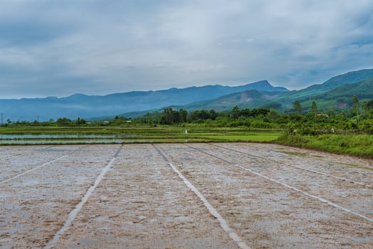 Green And Brown Colorful Rice Fields With Mountains In The Background In Vietnam photo
