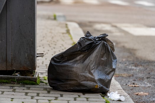 Garbage bags rest beside a waste container on a cobblestone path, showcasing the ongoing challenge of litter in urban settings. Effective recycling and disposal are essential for environmental health photo