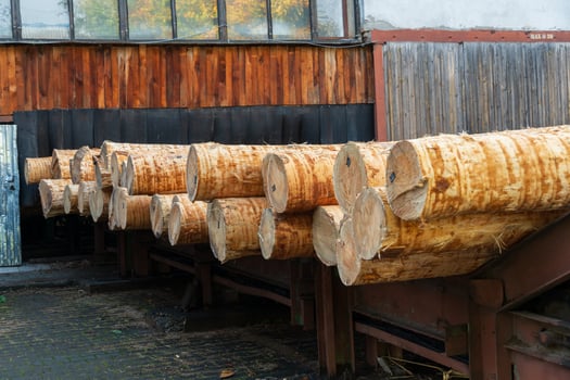 Sunlight bathes a row of freshly cut logs resting against a rustic wooden shed. The texture of the bark and the warmth of the wood contrast beautifully with the surrounding atmosphere photo