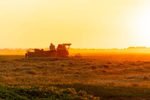 An agricultural harvester operates in a field, efficiently gathering crops as the sun sets, casting a warm glow over the landscape, highlighting the day's labor photo