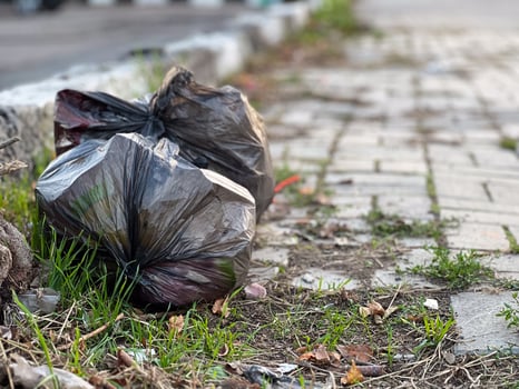 Two black garbage bags sit neglected on the pavement, blending with the lush grass, reflecting the consequences of urban littering in the afternoon sun photo