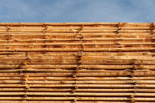 Freshly cut timber logs are stacked neatly at a lumber yard, allowing them to dry under a bright blue sky. The wooden structure showcases careful organization and preparation photo