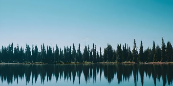 Mountain Lake Reflection Coniferous Trees Landscape Serenity Nature photo