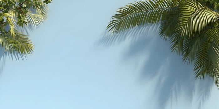 Tropical Palm Leaves and Shadows on Light Blue Background Summer Vacation Theme photo