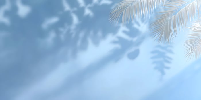 White Palm Leaves Shadow Overlay Light Blue Background photo