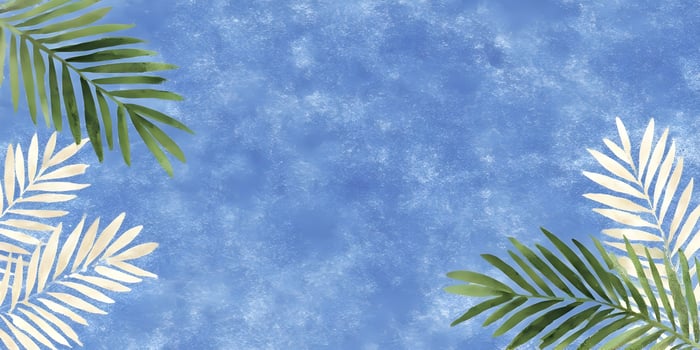 Tropical Palm Leaves Frame Blue Watercolor Background photo