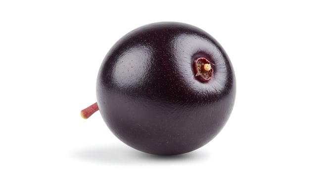 Isolated Elderberry Fruit Close Up on White Background for Food Concepts photo