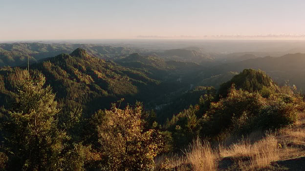 Photo of outdoor beauty in photography clarity